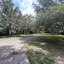 Dog Park at Boca Ciega Millennium Park photo 1